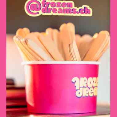 Logo Foodtruck Frozen Dreams